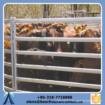 Customized High Quality and Strength Square/Round/Oval Tubes Style Cattle Fence